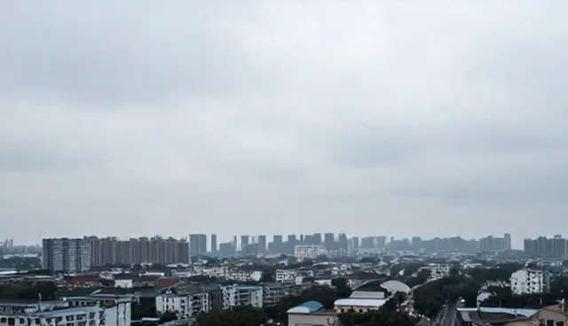 技术转让场景中维护策略的使用误区与建议